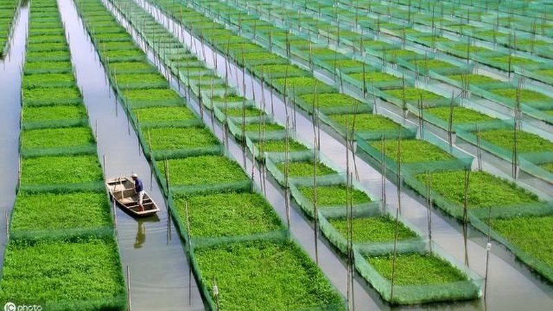 绿色食品产地环境检测：标准解析与关键指标