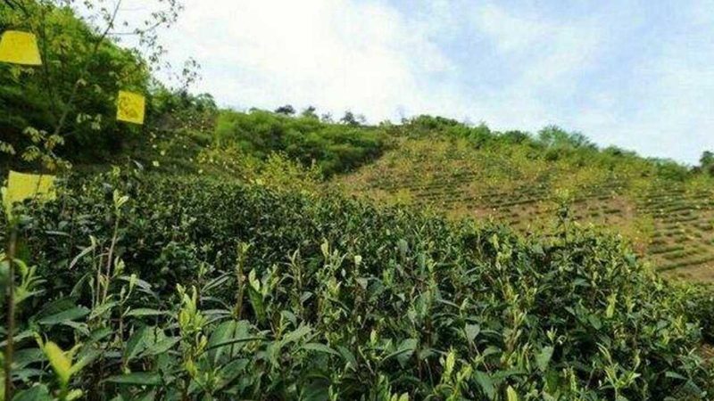 农民专业合作社税收优惠常见问题解答