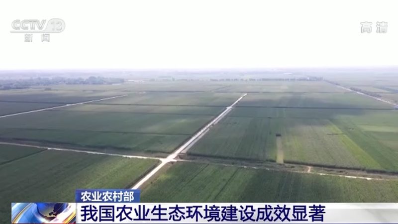 家庭式小型智慧农场方案步骤：打造高效生态种植模式