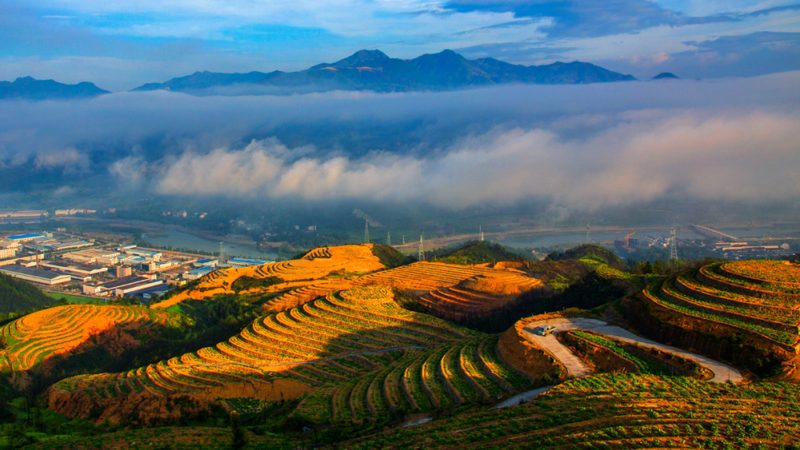 2025年粮食种植补贴政策：解读与影响