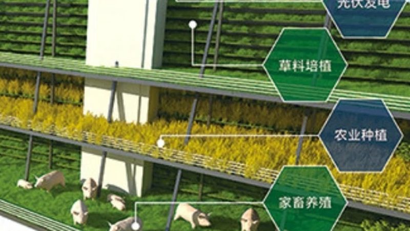 大棚加温设备选型关键：如何兼顾效率和成本**