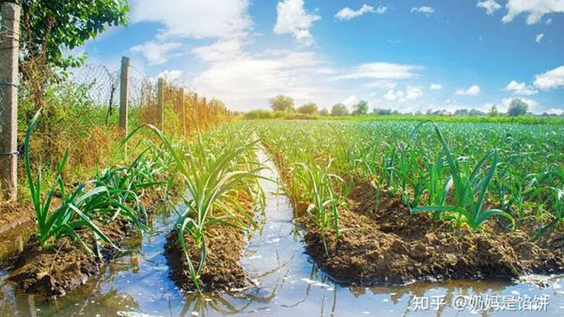 项目规划：明确目标与需求