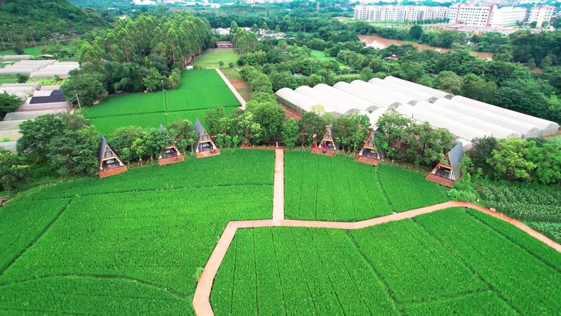 山东粮食种植公司，如何挑选可靠之选？**