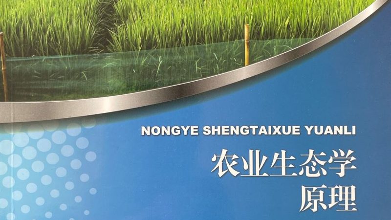 山东种粮大户的土地流转账本：价格波动背后藏着什么