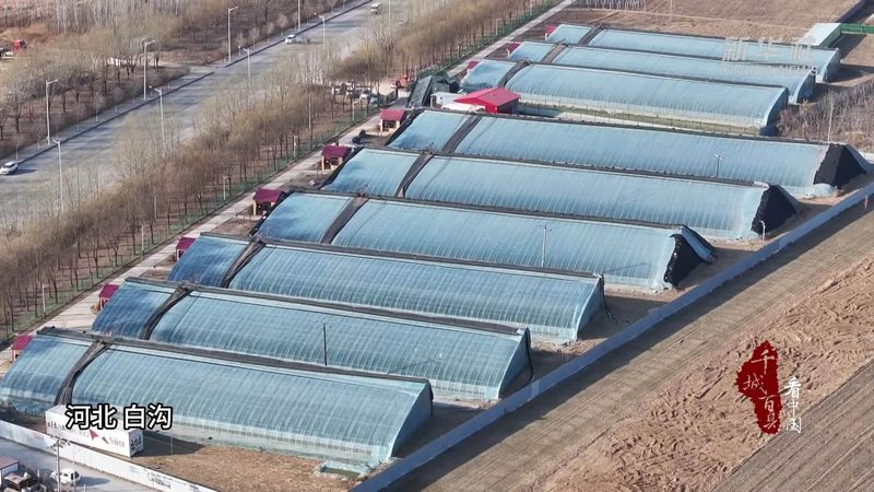 智慧农业大数据平台：助力浙江农业现代化升级