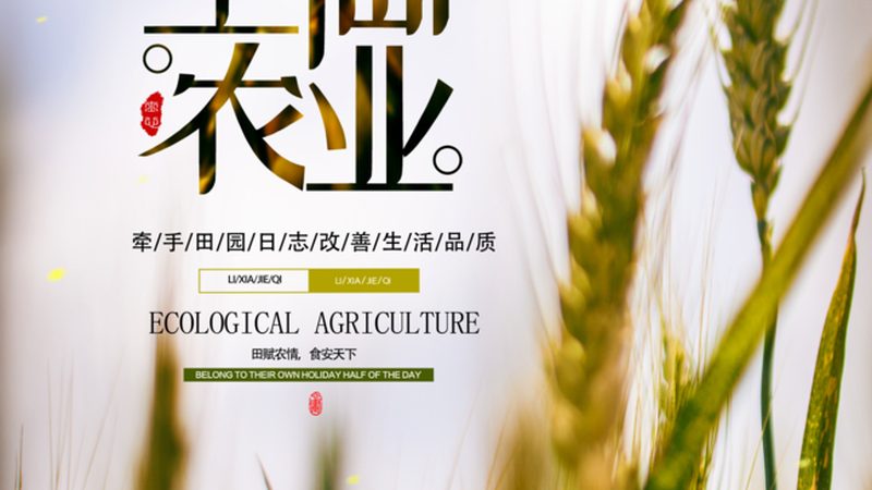 连栋温室大棚：揭秘每平米造价背后的因素